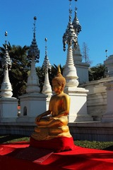 IMG_0548.JPG
