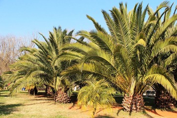IMG_1940.JPG