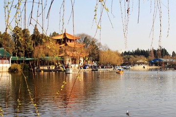 IMG_1990.JPG