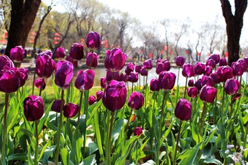 IMG_2058.JPG