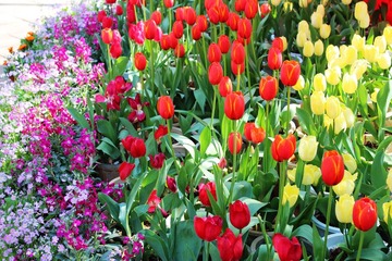 IMG_2061.JPG
