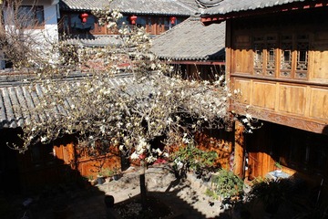 IMG_0747.JPG