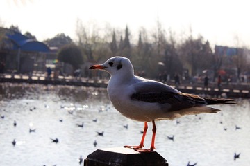 IMG_1840.JPG
