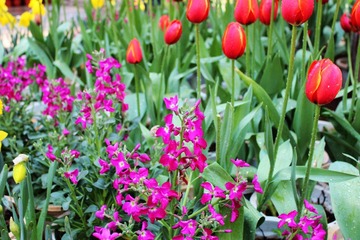 IMG_1866.JPG