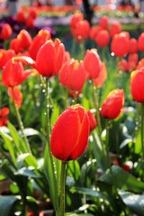 IMG_1876.JPG