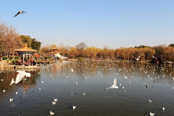 IMG_1898.JPG