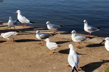 IMG_1911.JPG