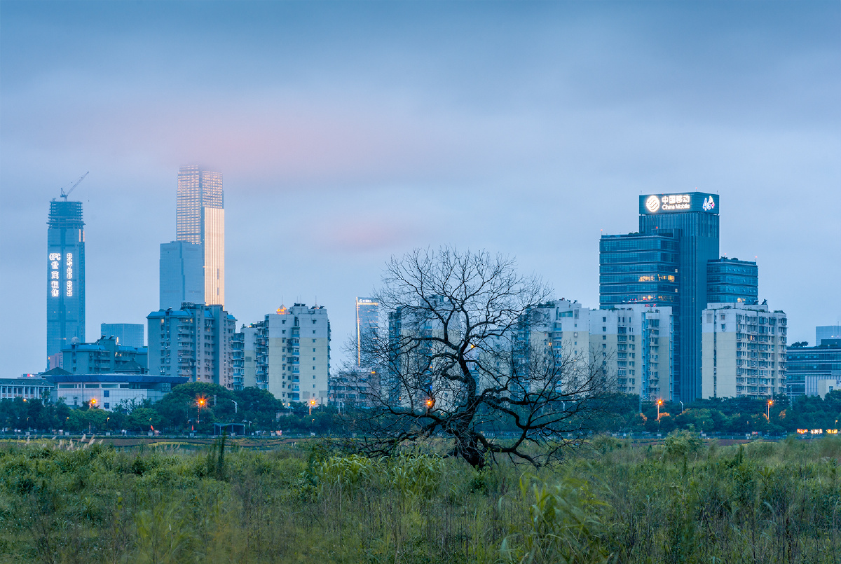 城市与荒野荒野能成为城市景观的一部分吗?现代人能接受荒野吗?