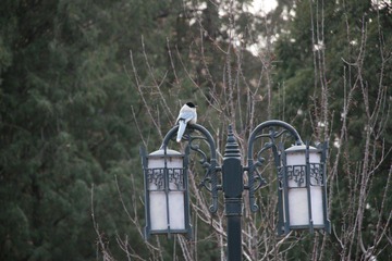 IMG_8427.JPG