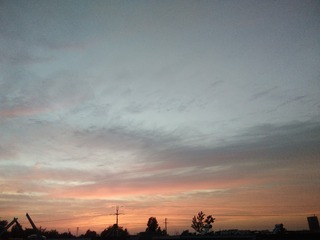232041