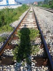 345207