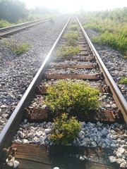 345208