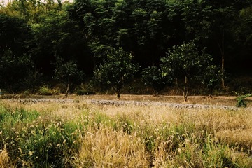 B6E994E3-F6A3-41EA-A688-CB37AD19580B/L0/001