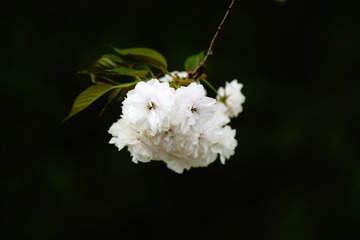 3416587