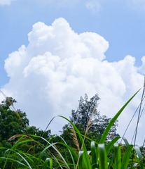 DDF885C2-E615-43B7-B683-39975A27241E/L0/001