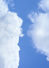 21F268C1-B057-4293-8C26-E0D4F4E70ED4/L0/001