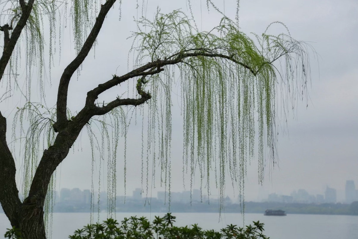 烟雨江南
