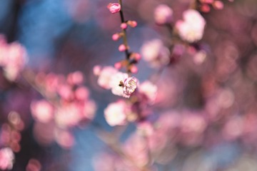 7D6269A7-5A81-4CAA-83ED-A139631BD1DB/L0/001