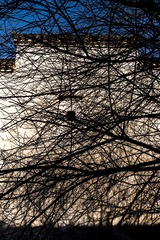 00984736-F2DD-4844-89F7-989F5894E863/L0/001