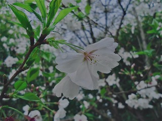 20F9F7A9-834C-4B3C-B0AC-7C4E9D674F89/L0/001