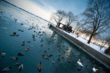 DSC_1495-2.jpg