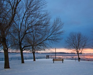 DSC_1511-2.jpg