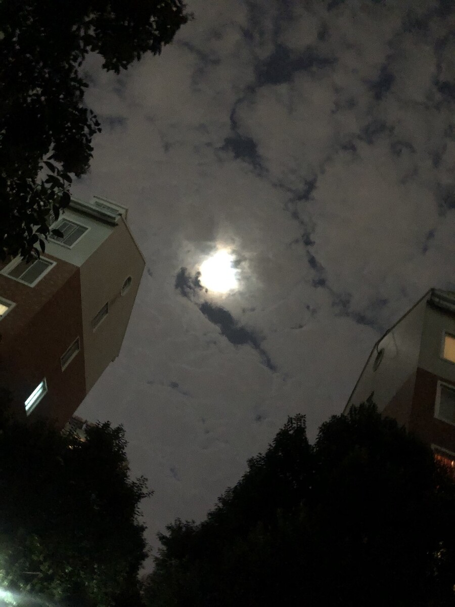 天狗吞月