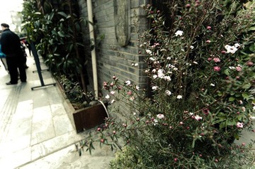 20120103-DSC_0214副本.jpg