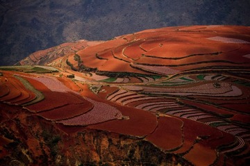 压缩11 (19 - 24).jpg