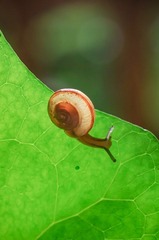 压缩111 (9 - 13).jpg