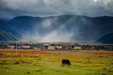 压缩1小中甸1 (2).jpg