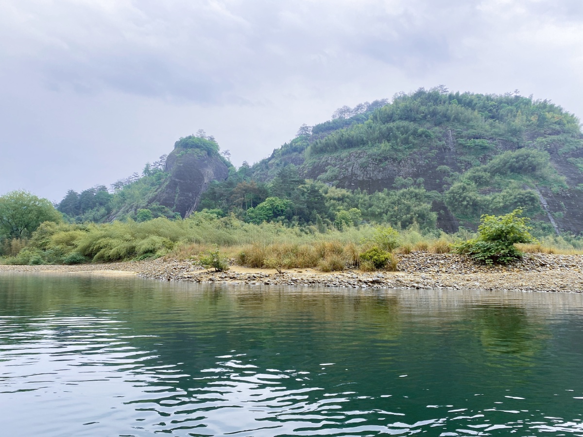 蝉噪林逾静鸟鸣山更幽