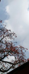 1683576