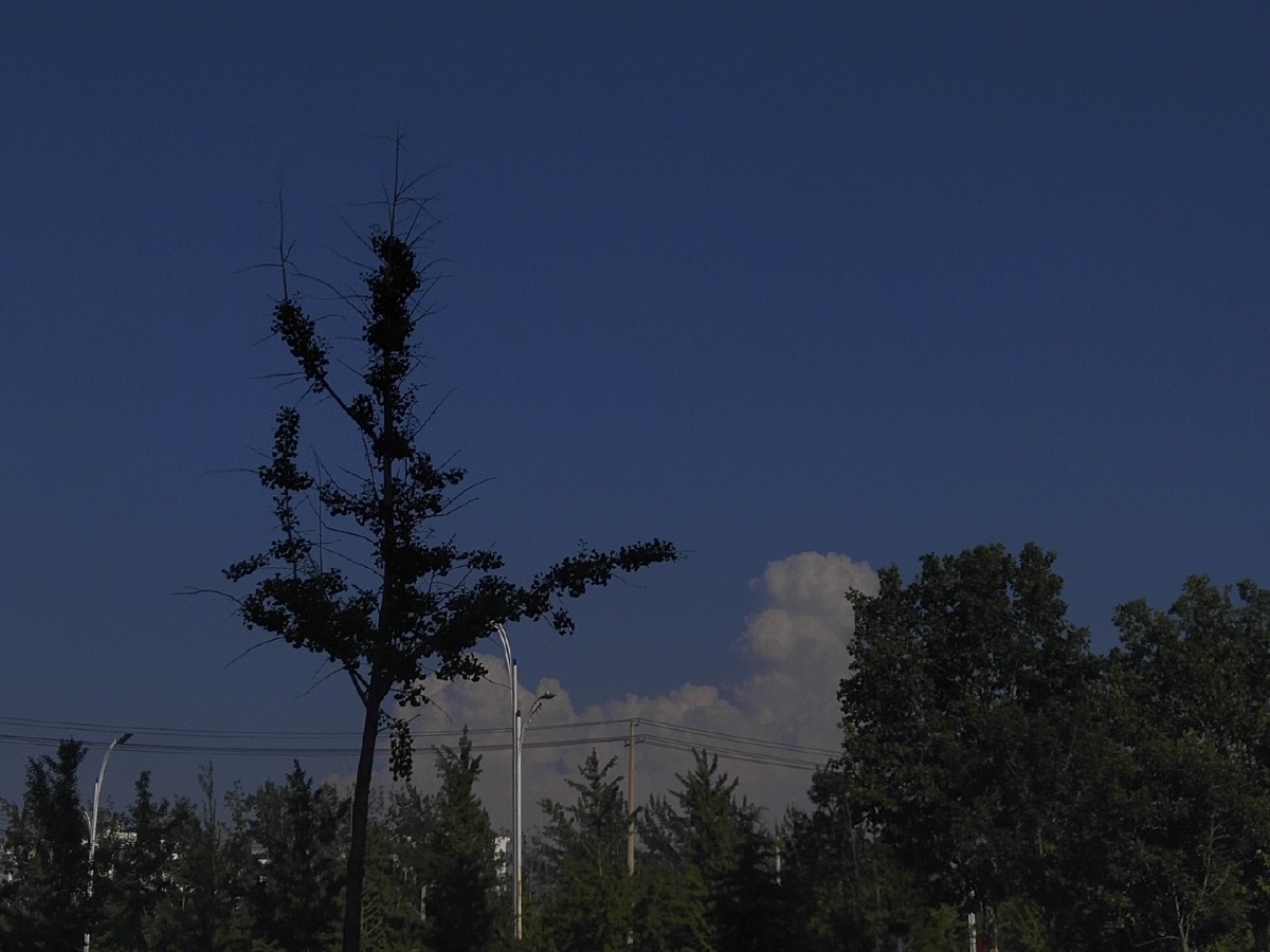 想在光昏寄一场梦给你