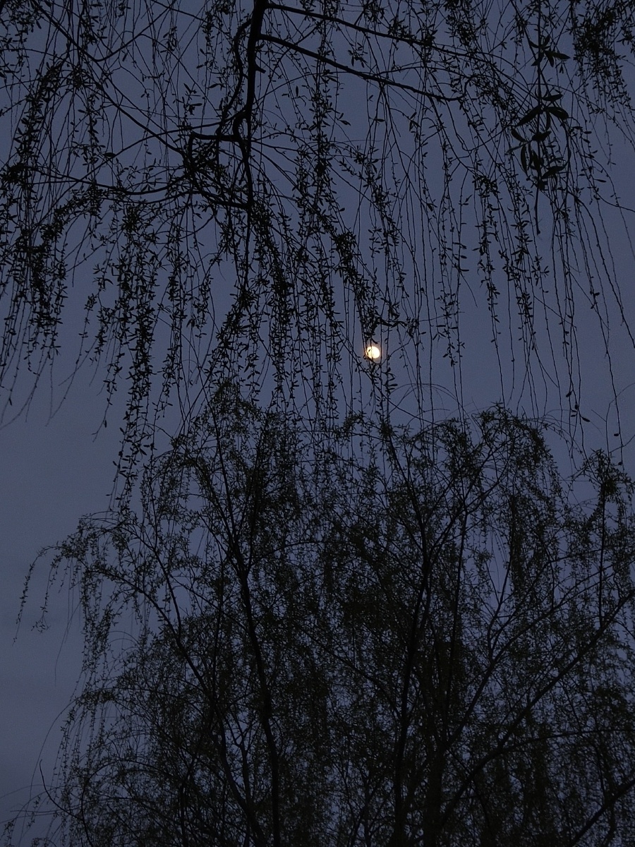 想在光昏寄一场梦给你