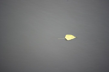 IMGP1221.jpg