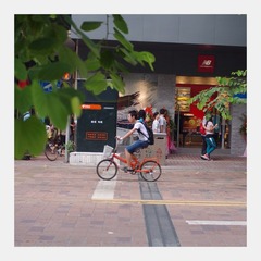IMGP8367.JPG