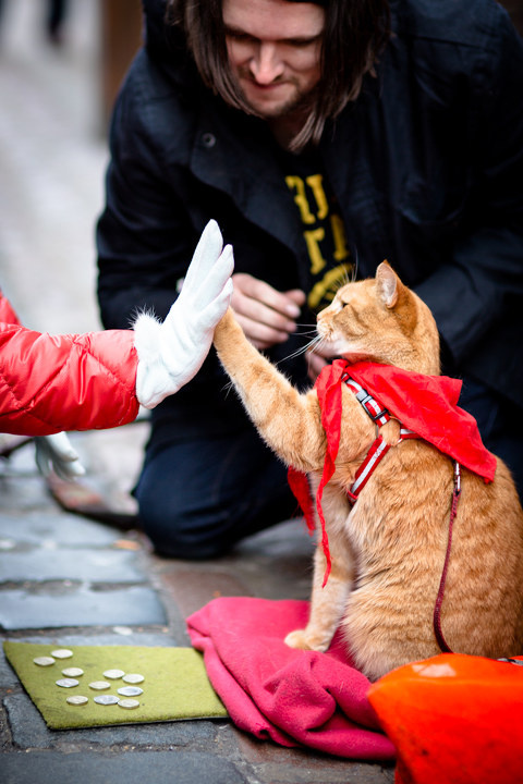 给钱就拍掌.卖萌可耻!
