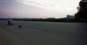 DSC02952.jpg