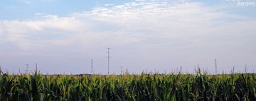 DSC02951.jpg
