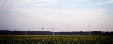 DSC02921.jpg
