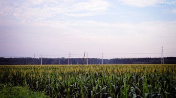 DSC02920.jpg