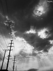 DSC02987.jpg