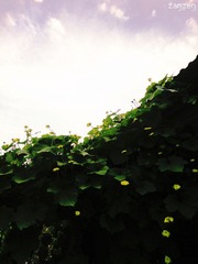 DSC03051.jpg