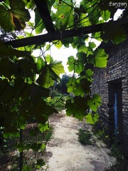 DSC03048.jpg