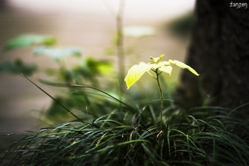 IMG_8782.jpg