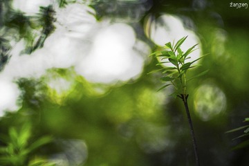 IMG_8798.jpg
