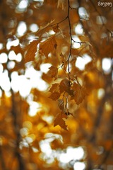 IMG_8816.jpg