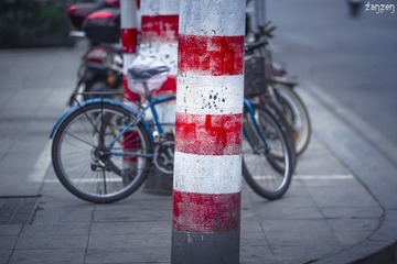 IMG_8835.jpg