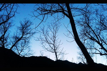 IMAG0076.jpg
